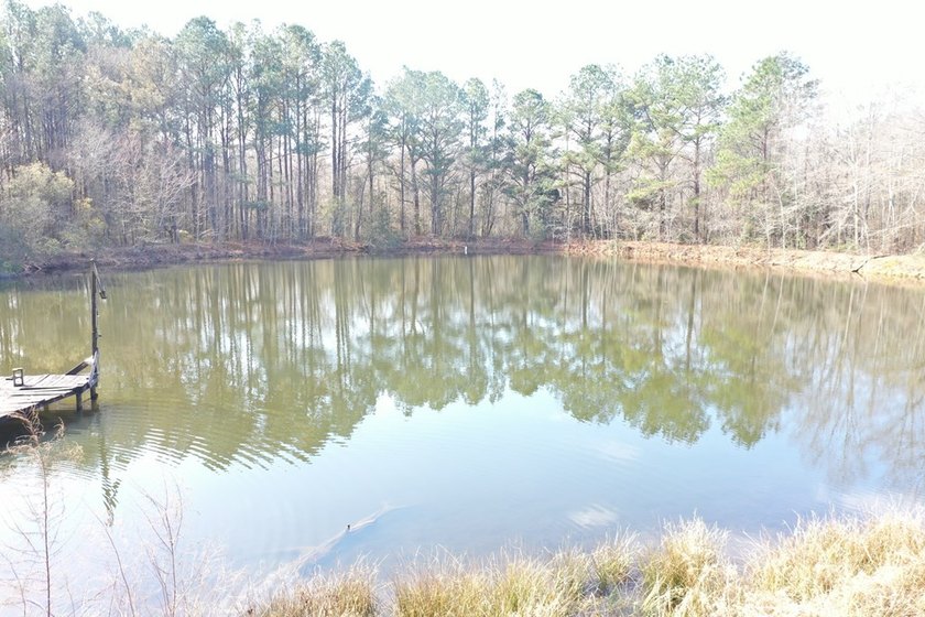 Private location. Nice home that needs some love. Over 47 acres - photo 22