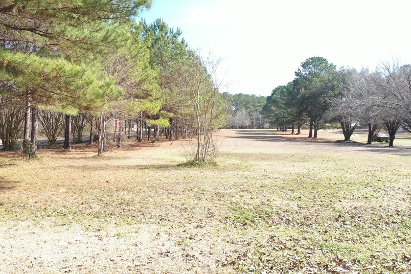 Private location. Nice home that needs some love. Over 47 acres - photo 25