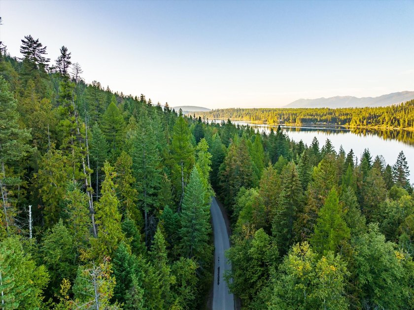 Beautiful forest on 11.59 acres above Swan Lake on the west - photo 15