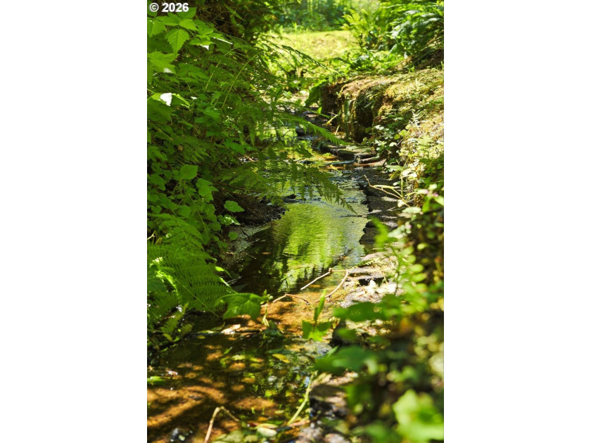 Tucked away at the end of a private driveway, this secluded and - photo 4