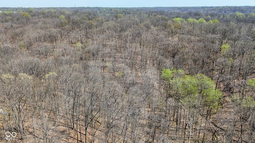 Did you say roughly 23 acres of heavily wooded ground currently - photo 12
