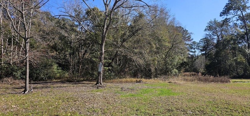 Discover the possibilities at 5676 Soutel Dr, Jacksonville, FL! - photo 12