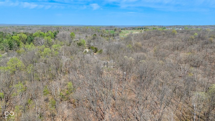 Did you say roughly 23 acres of heavily wooded ground currently - photo 13