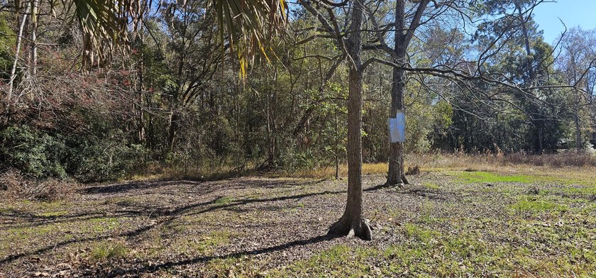 Discover the possibilities at 5676 Soutel Dr, Jacksonville, FL! - photo 13