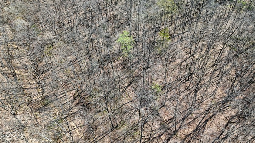 Did you say roughly 23 acres of heavily wooded ground currently - photo 14