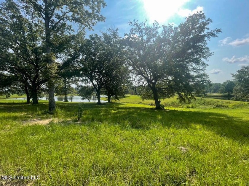 Lake front lots in a beautiful new Subdivision on Highway 63 - photo 2