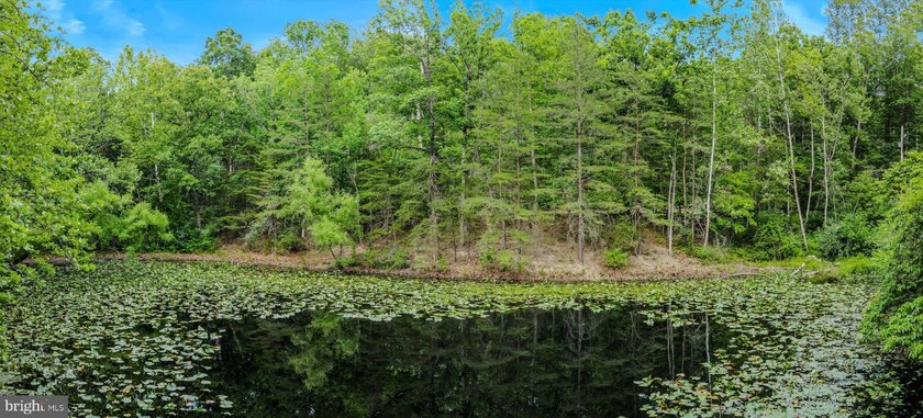 This custom Cape Cod offers approximately 2,600 square feet set - photo 44