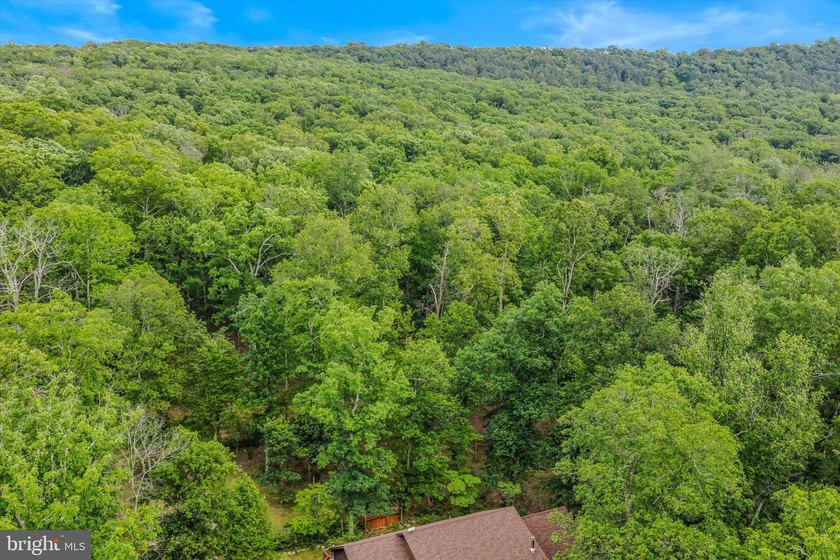 This custom Cape Cod offers approximately 2,600 square feet set - photo 45
