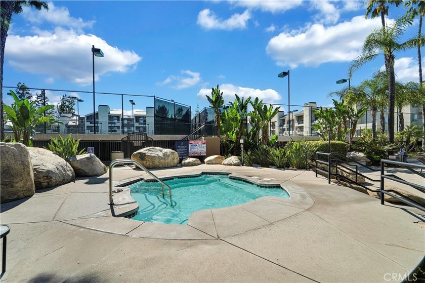Welcome to resort-style living at The Met in the heart of Warner - photo 25
