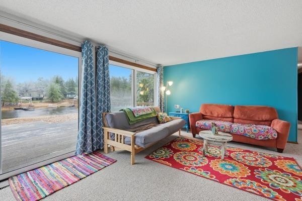 Welcome to this beautiful 3-bedroom waterfront ranch on Lake - photo 18
