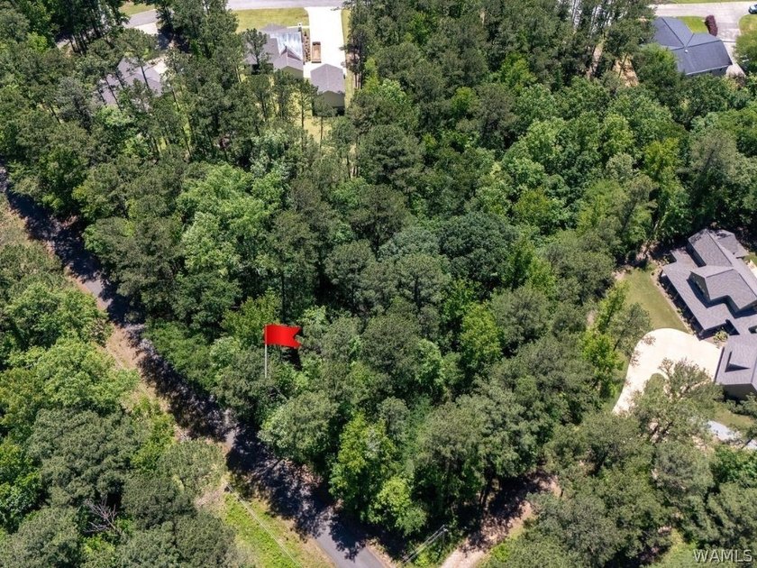 Welcome to Lakecove Estates, where your dream home awaits! This - photo 3