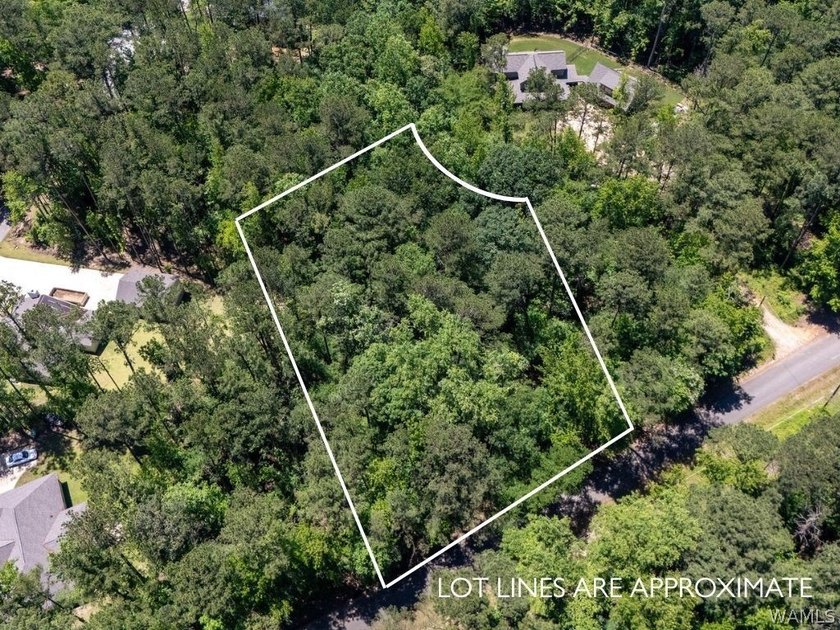 Welcome to Lakecove Estates, where your dream home awaits! This - photo 4