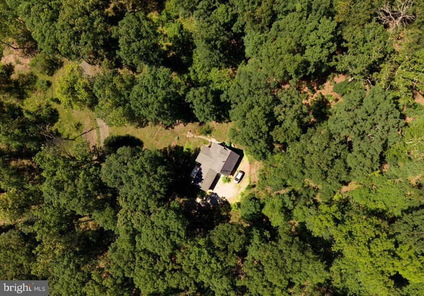 *Springfield Cabin* - Nestled along the hillside in scenic - photo 35