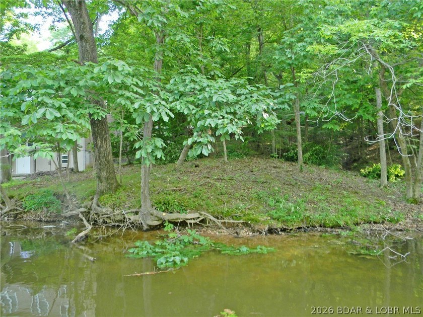 Rare opportunity to own 14 acres with an incredible 500 feet of - photo 13