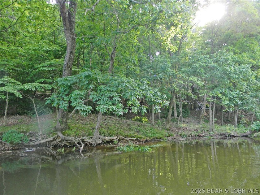 Rare opportunity to own 14 acres with an incredible 500 feet of - photo 15