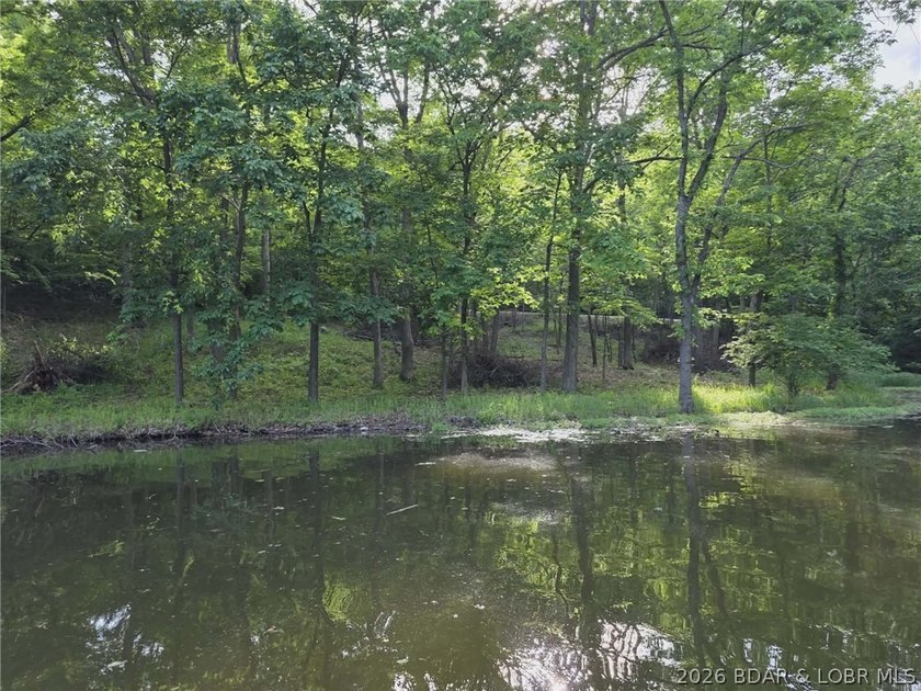 Rare opportunity to own 14 acres with an incredible 500 feet of - photo 16