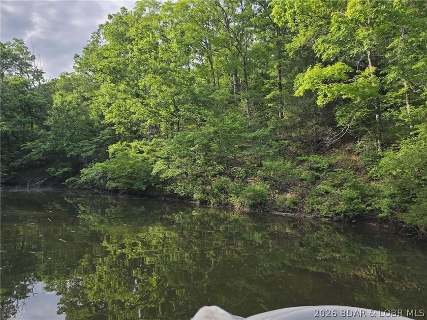 Rare opportunity to own 14 acres with an incredible 500 feet of - photo 17