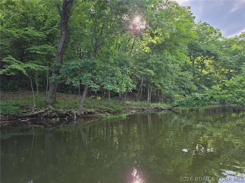 Rare opportunity to own 14 acres with an incredible 500 feet of - photo 21