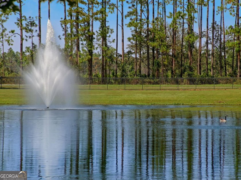 * Move-In Ready 4-Bedroom Home in Gated Osprey Cove - Your - photo 36