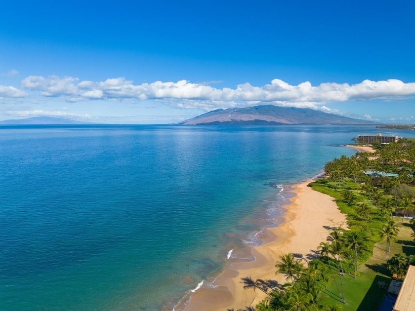 Motivated Seller - Unbeatable Wailea Value Steps from Keawakapu - photo 36