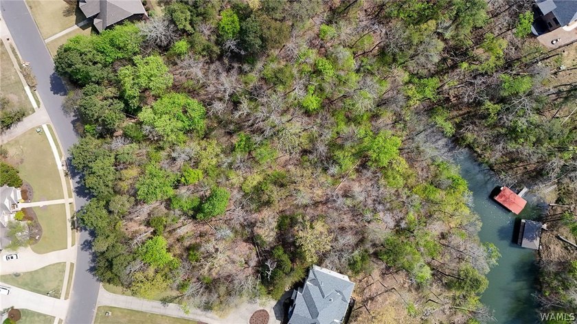Build your dream home on Lake Tuscaloosa in the desirable Lake - photo 3