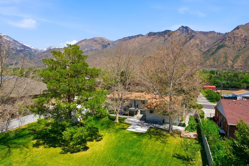 Completely reimagined Alpine home on a spacious 0.54-acre lot - photo 43