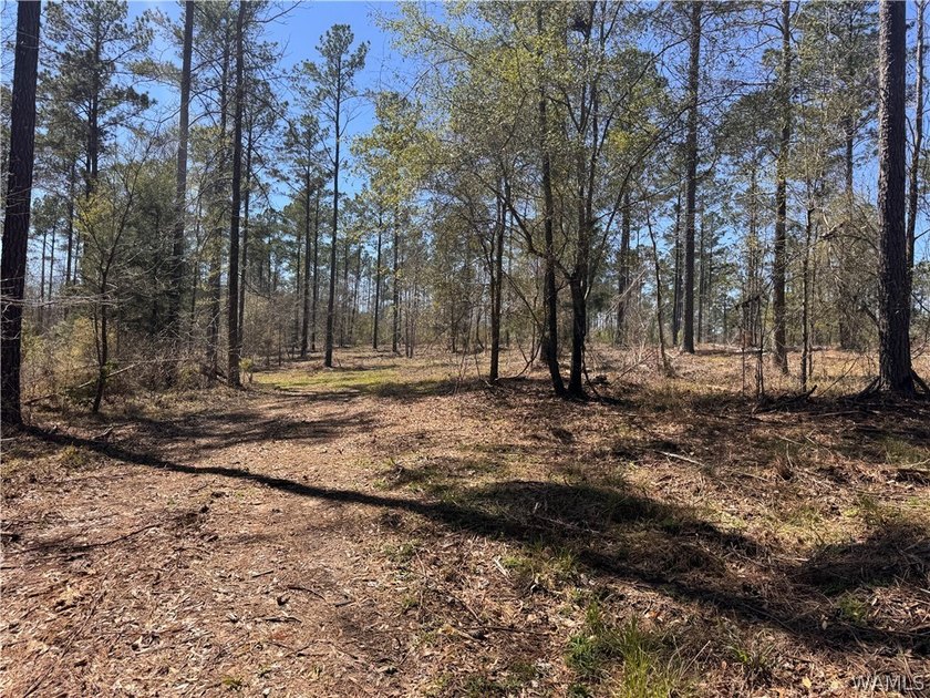 Discover the perfect opportunity with 43 acres featuring 835 - photo 5