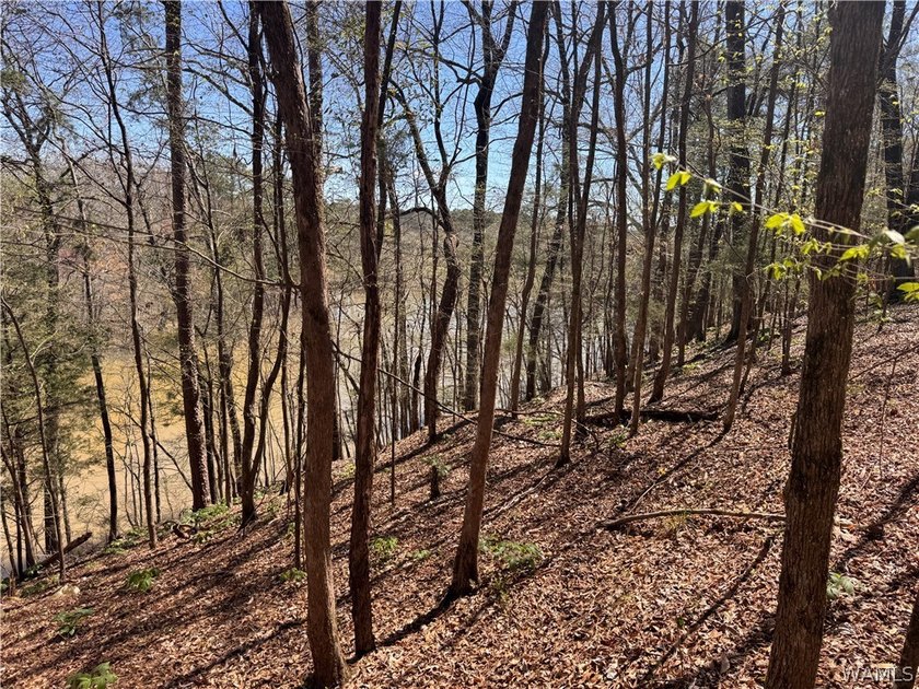 Discover the perfect opportunity with 43 acres featuring 835 - photo 6