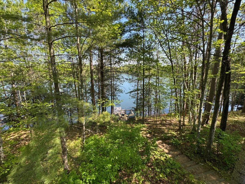 Nestled on a wooded lot on beautiful 204 AC BOOTH lake, this - photo 35