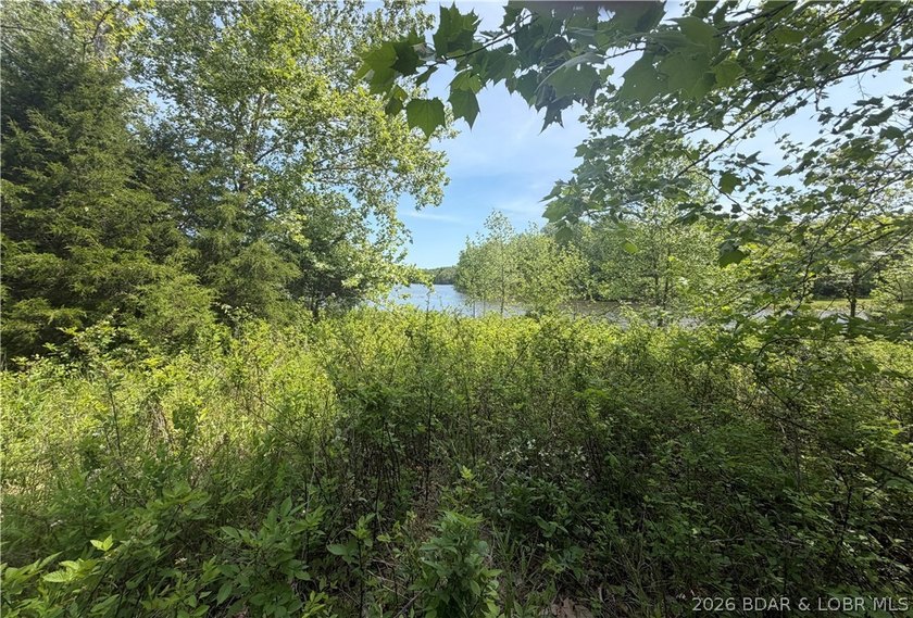 2.84 acres of gentle/flat, very buildable, lakefront land on the - photo 11