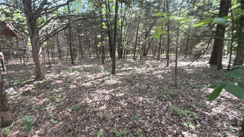 2.84 acres of gentle/flat, very buildable, lakefront land on the - photo 13