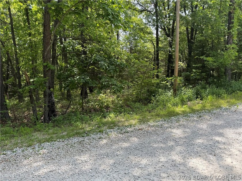 2.84 acres of gentle/flat, very buildable, lakefront land on the - photo 18
