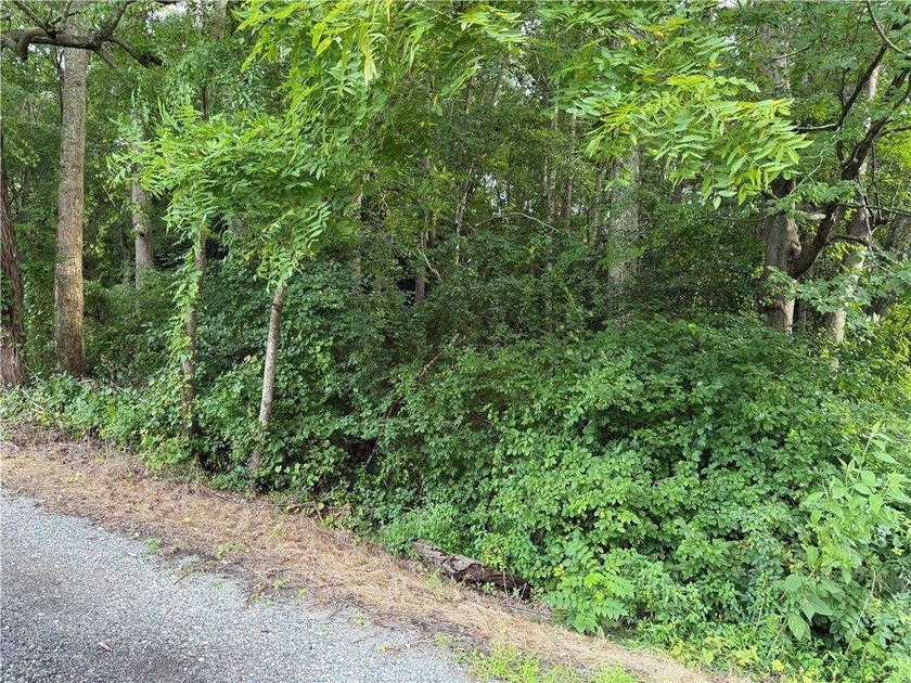 Lovely Wooded 1 Acre Lot on Clay Bank Rd. in Mid County - photo 2