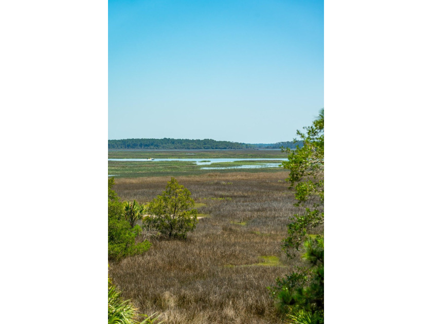 You do not want to miss this rare opportunity to enjoy marsh - photo 33