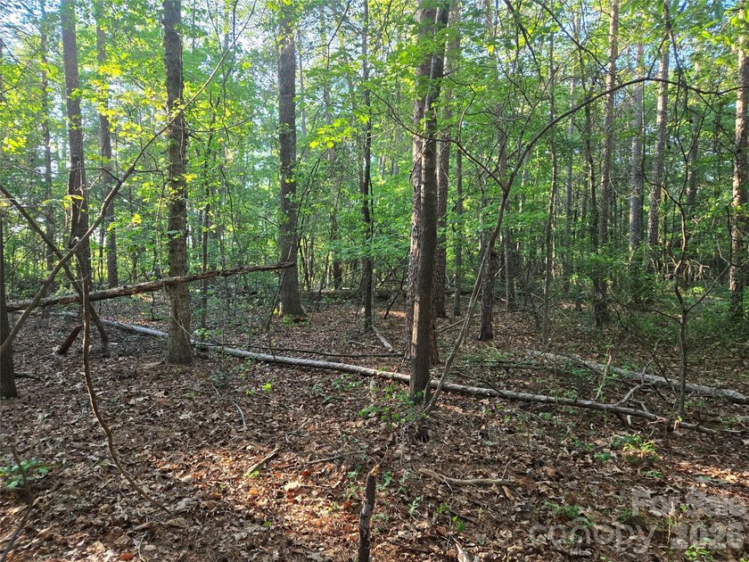 13.51 acres situated on Hwy 218 E in the Piedmont/New Salem - photo 13