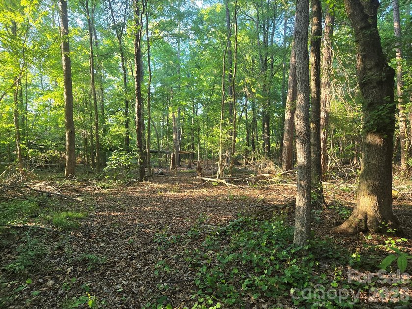 13.51 acres situated on Hwy 218 E in the Piedmont/New Salem - photo 14