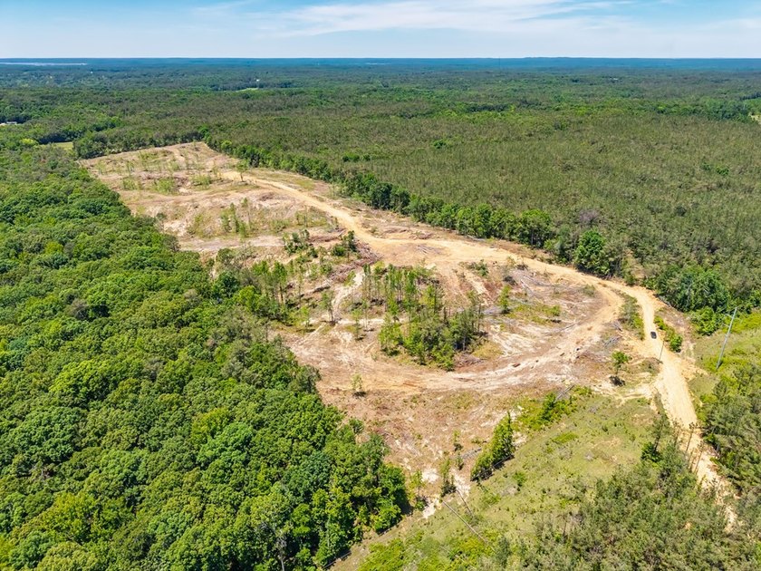 40.00 acres of recreational land located just northeast of - photo 11