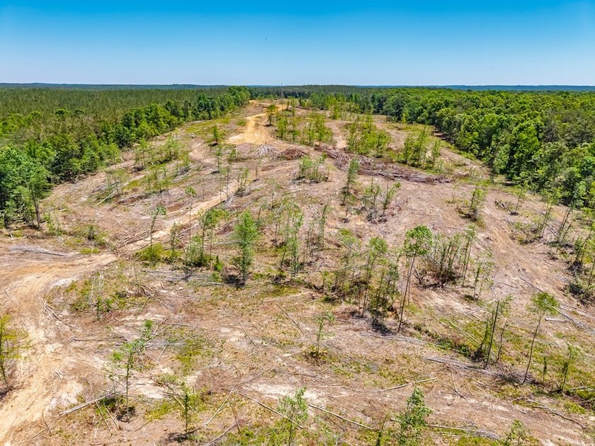 40.00 acres of recreational land located just northeast of - photo 19