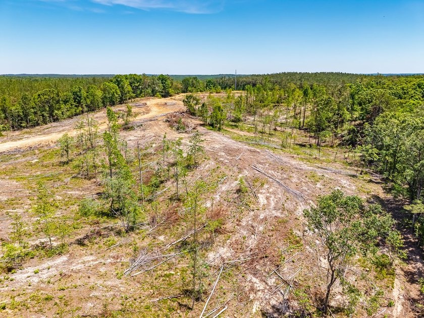 40.00 acres of recreational land located just northeast of - photo 21