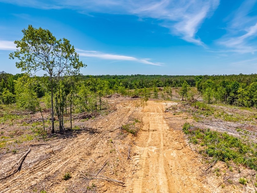 40.00 acres of recreational land located just northeast of - photo 27