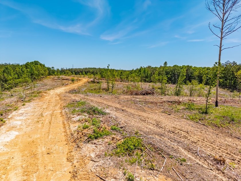 40.00 acres of recreational land located just northeast of - photo 28
