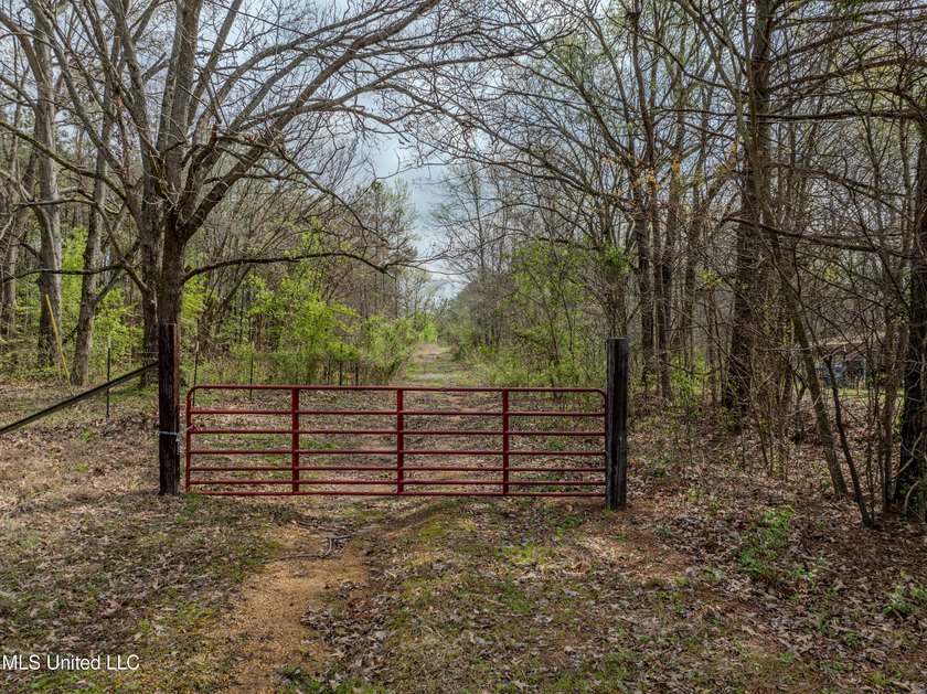 Check out this BEAUTIFUL 19 +/- acre property! It is located in - photo 2