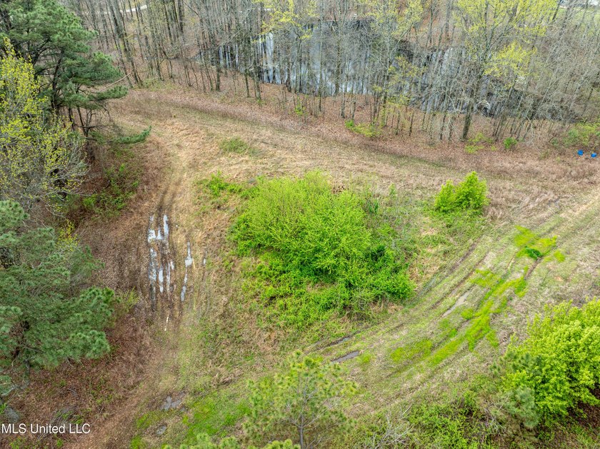 Check out this BEAUTIFUL 19 +/- acre property! It is located in - photo 4