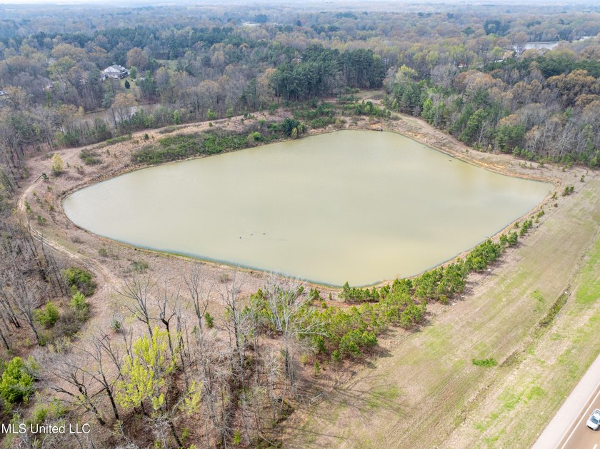 Check out this BEAUTIFUL 19 +/- acre property! It is located in - photo 8