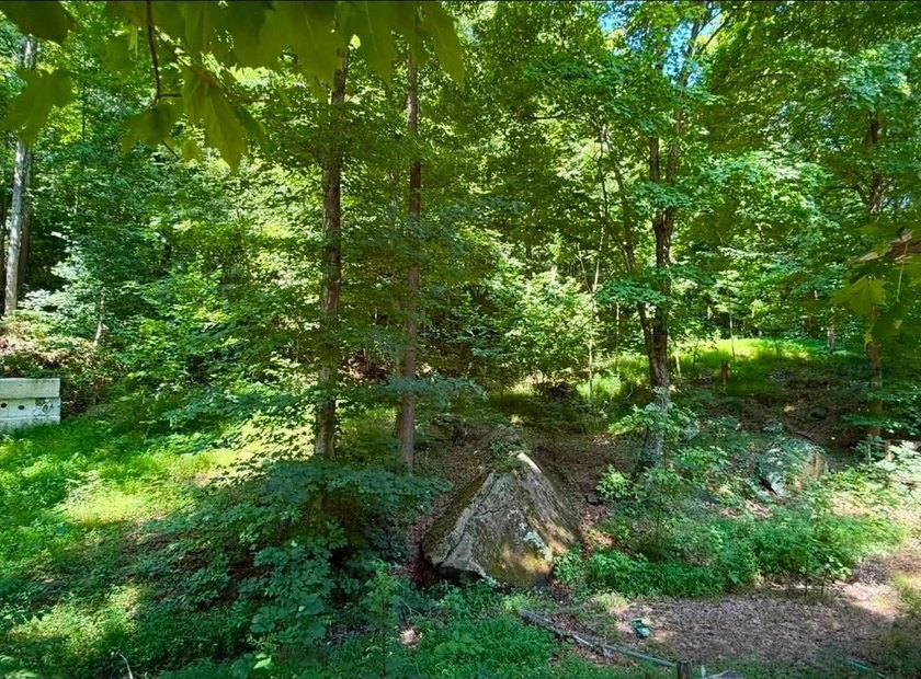 Escape to your own private getaway! This beautiful 5-acre - photo 3