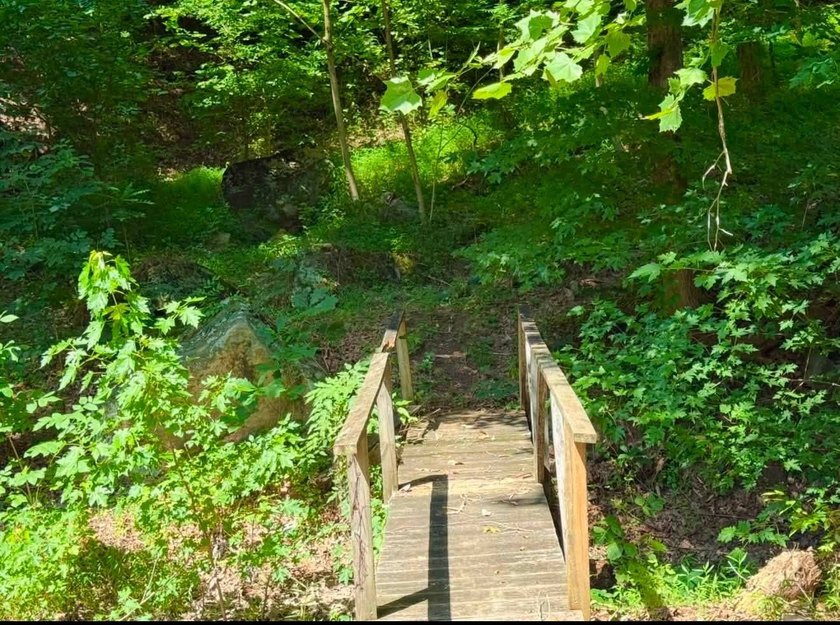 Escape to your own private getaway! This beautiful 5-acre - photo 4