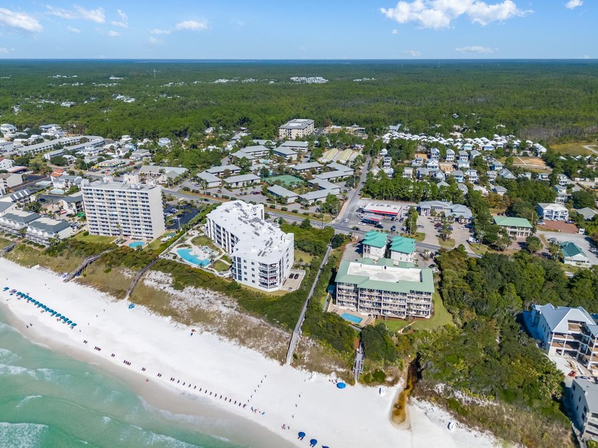 Welcome to this charming condo in the heart of Seagrove Beach - photo 43