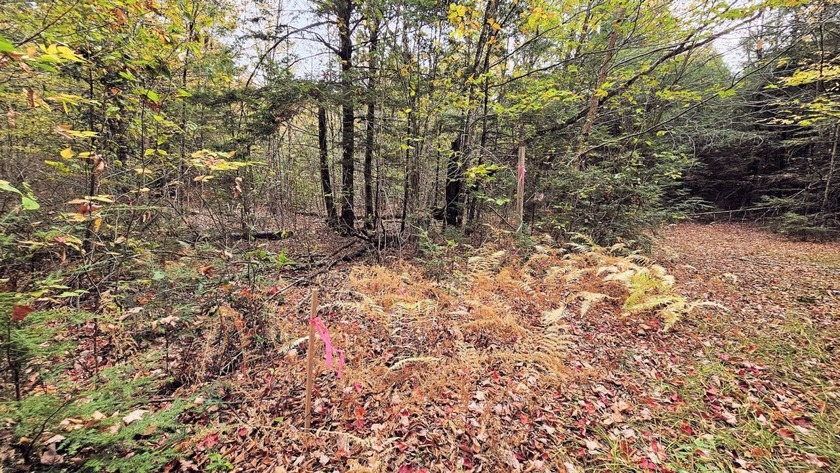 This is your chance to own 2.6 acre lot near Sebasticook Lake - photo 2
