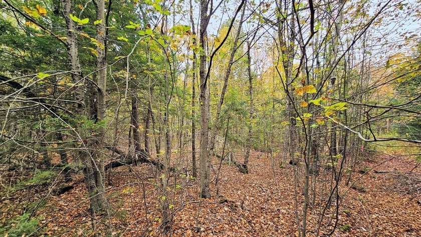 This is your chance to own 2.6 acre lot near Sebasticook Lake - photo 4