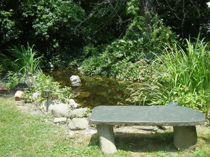 Want a little piece of history set on a wide tranquil lot? This - photo 7